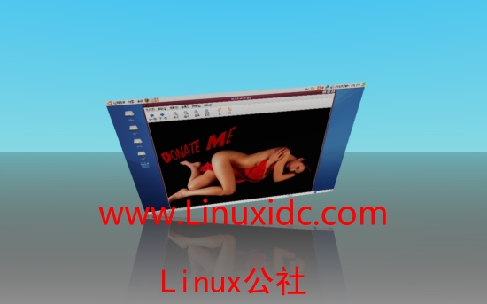 Ubuntu 的3D桌面效果！真是无以伦比