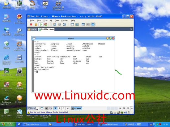 XP下用Vmware虚拟LiveCD系统(Linux)