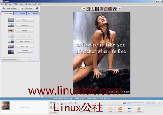 Ubuntu 下安装 Google 的Picasa