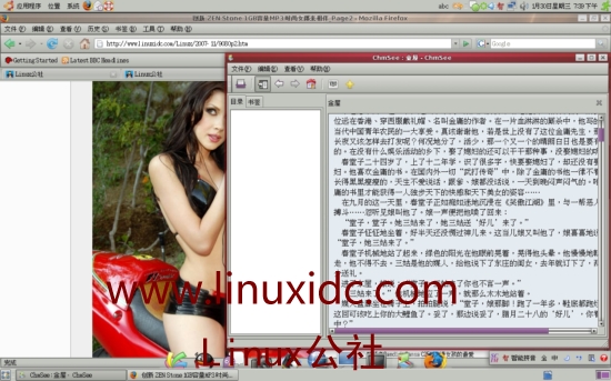 Ubuntu下用chmsee查看chm电子书
