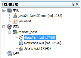 屏幕快照：包含远程主机的“应用程序”窗口