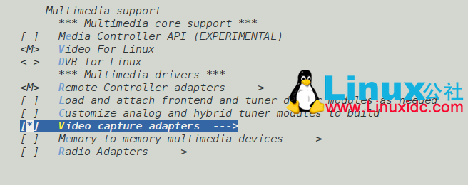 Gentoo Linux下安装USB摄像头