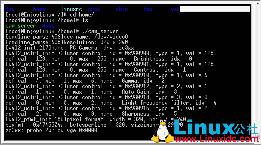 Tiny6410 H.264远程视频监控