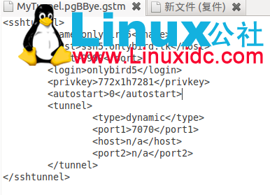 如何解决Ubuntu 下gSTM不能打开图形用户界面的问题