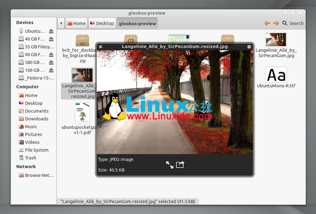 Gloobus 文件快速预览已支持 Nautilus 3.2
