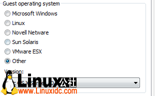 Windows环境利用VMware7.1.3 搭建iPhone开发环境