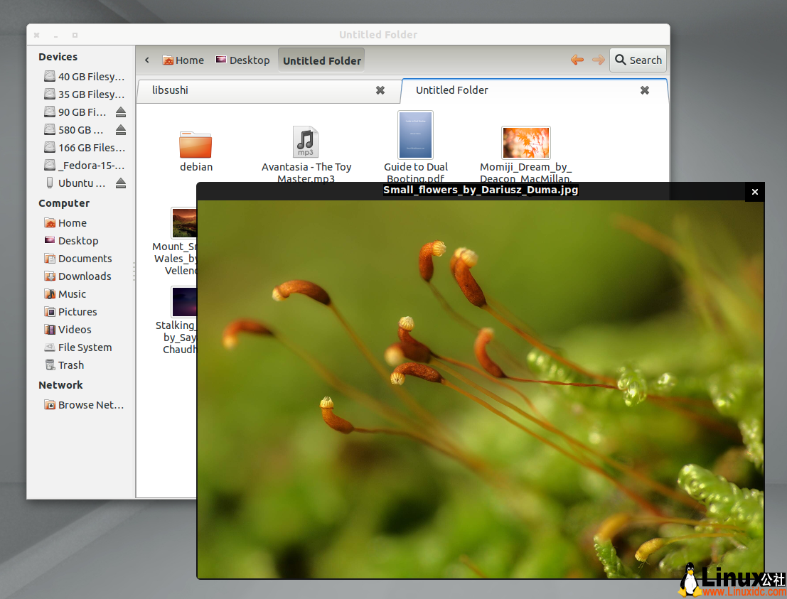Ubuntu 11.10下安装文件快速预览工具Sushi