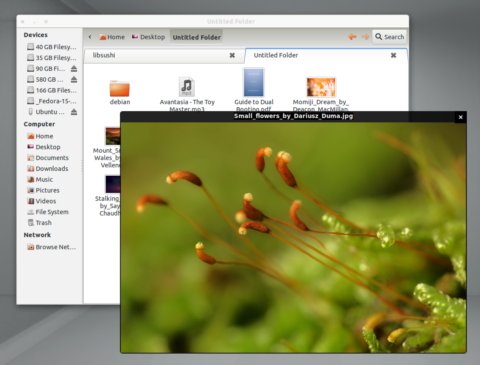 Ubuntu 11.10 Ocelot 安装 Sushi (GNOME 3.2 Nautilus快速