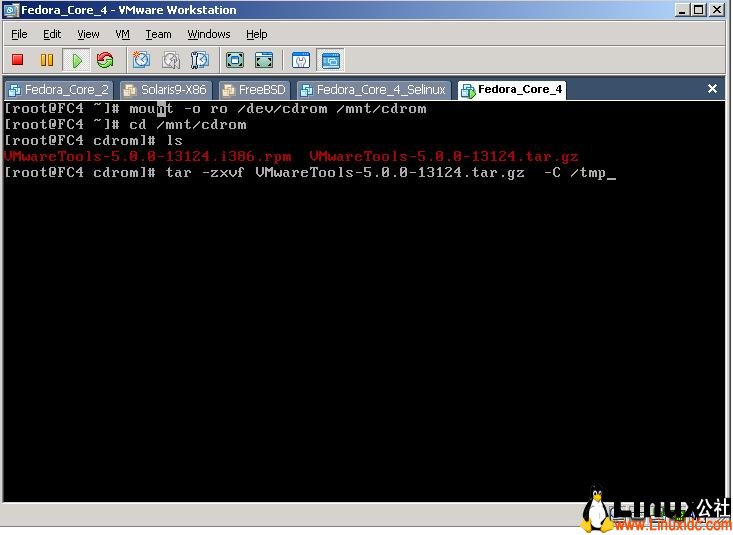 VMware,Linux