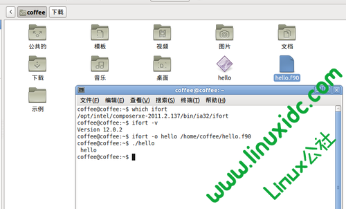 Ubuntu 10.10下安装Intel Fortran XE