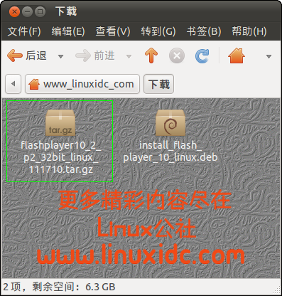 Ubuntu 10.10上安装最新版 FlashPlayer 10.2 beta
