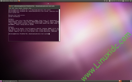 Ubuntu 10.10