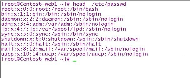 Linux纵向截取工具之cut