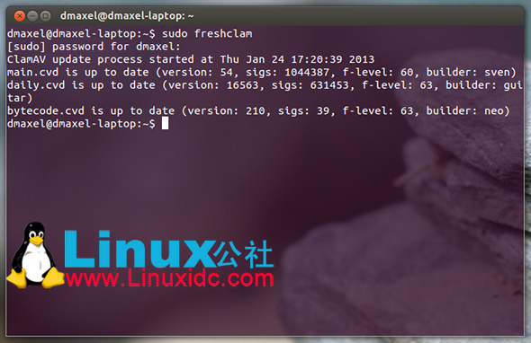 在命令行用Clam Antivirus扫描病毒