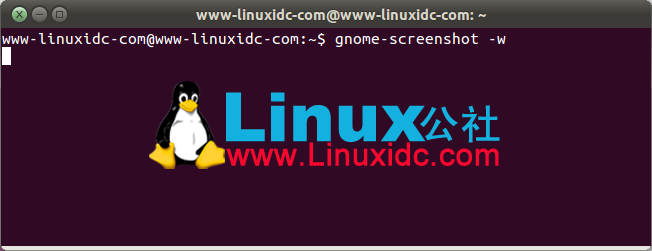Ubuntu使用 gnome-screenshot 截图命令来截取屏幕、窗口或指定区