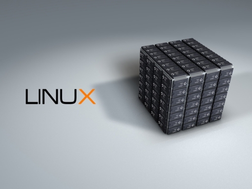 入门：查看Linux系统的平均负载