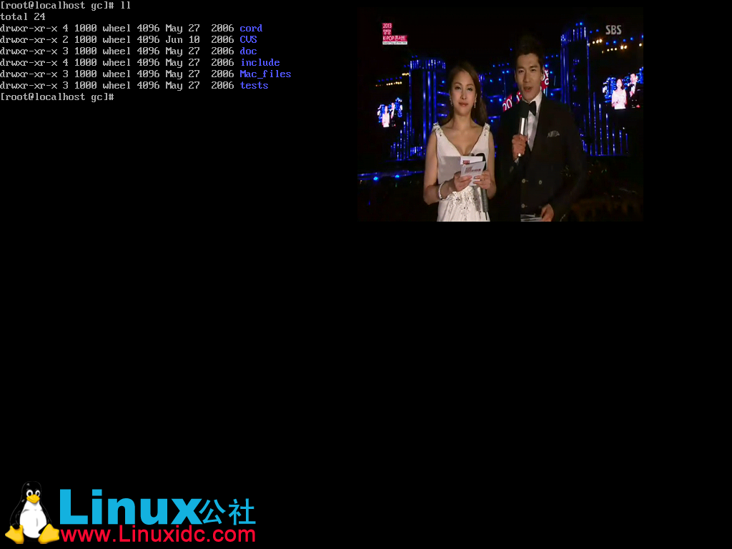 打造字符界面的多媒体Linux系统