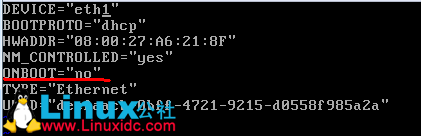 CentOS6.3 minimal EFI的网卡问题