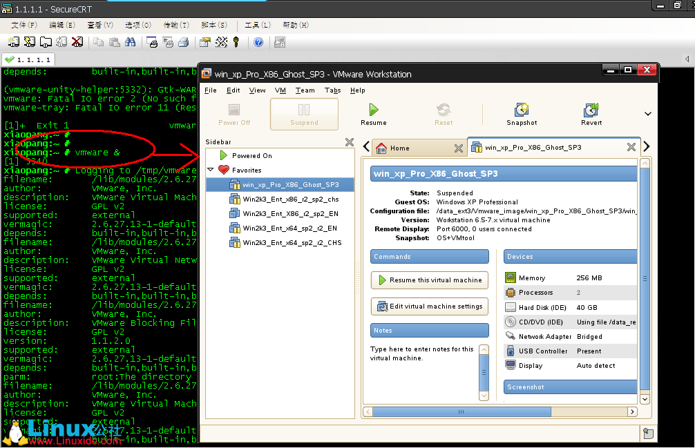 X11 Forwarding with SSH（SecureCRT Setup）