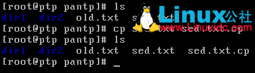 Linux常用命令,Linux命令