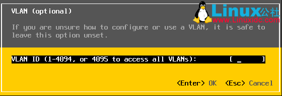 Vm ESXI 网络支持Trunk的设置