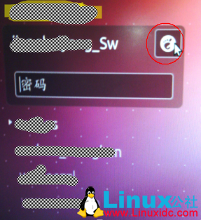 Windows远程桌面访问Ubuntu 12.04 之安装VNC 