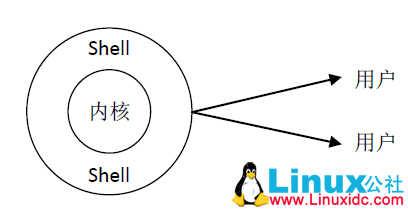 Linux Shell