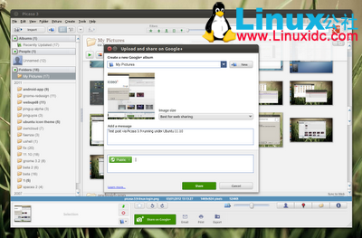 picasa 3.9 linux google plus share