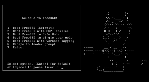 FreeBSD5.1安装图文详解