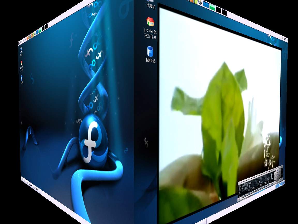 看看FC6的3D桌面特效图